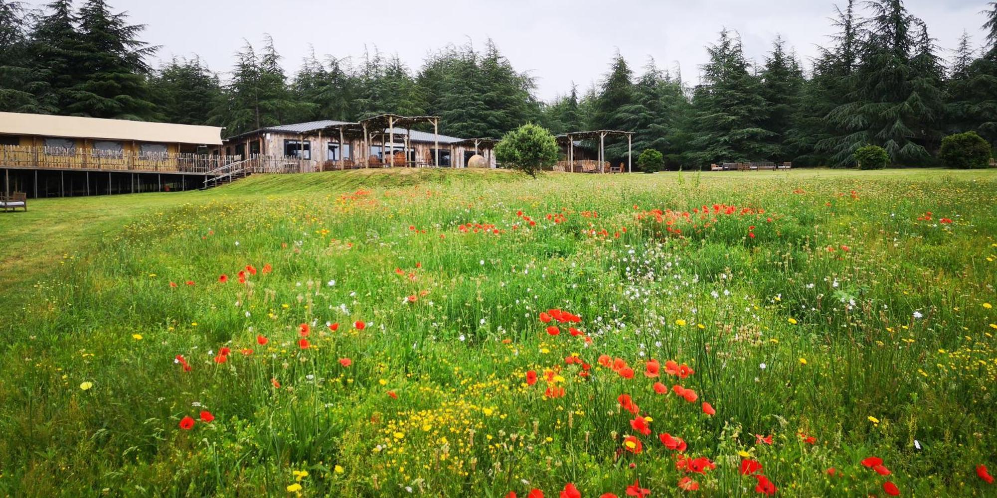 Villaniere Domaine De La Vitarelle Glamping מראה חיצוני תמונה