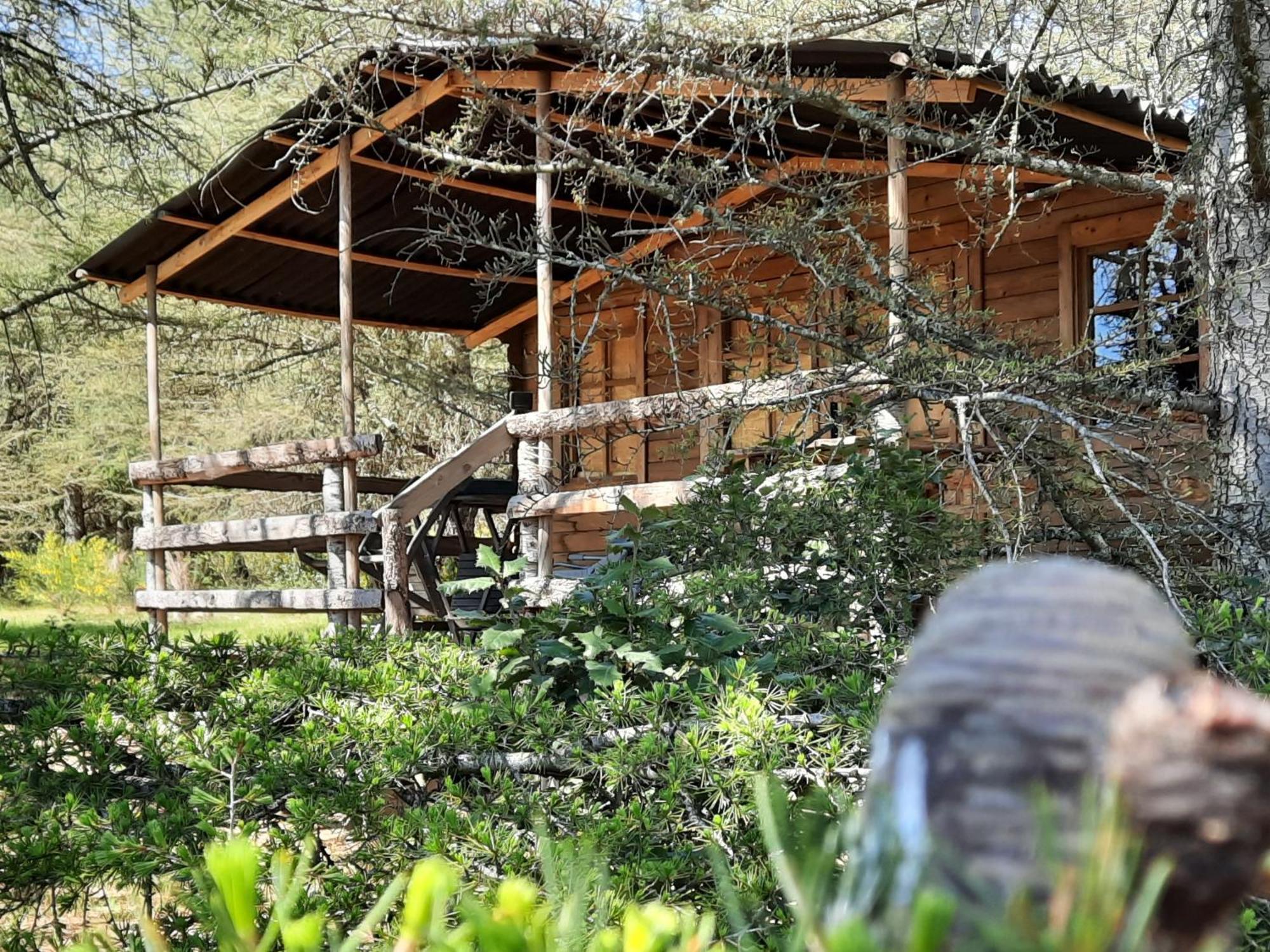 Villaniere Domaine De La Vitarelle Glamping מראה חיצוני תמונה