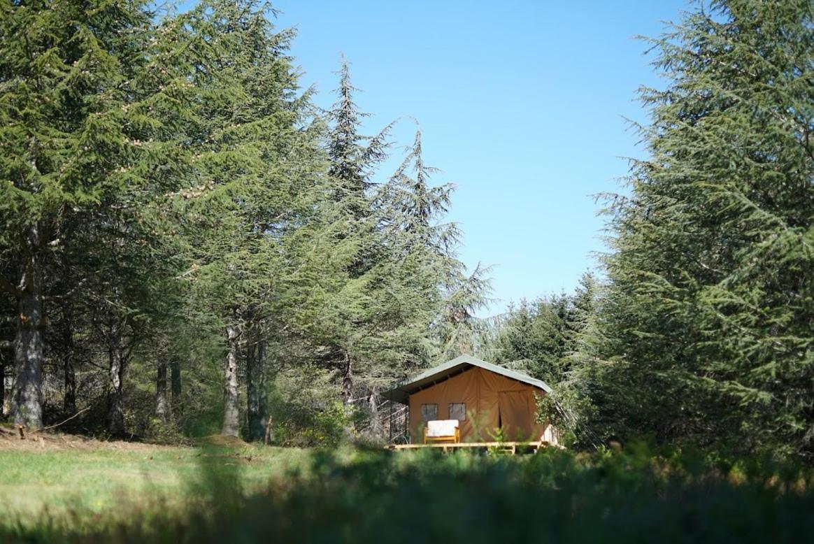 Villaniere Domaine De La Vitarelle Glamping מראה חיצוני תמונה